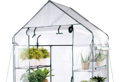 Best Small Urban Portable Greenhouses & Top Space-Saving Options
