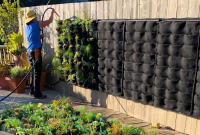 DIY Vertical Garden Wall Modular Systems Tutorial