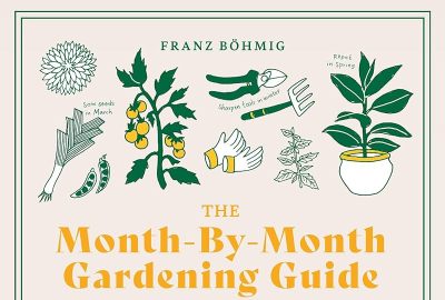 Allergen-Friendly Herb Planting Guide & Monthly Seasonal Tips