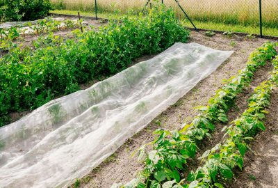Allergy-Resistant Soil Covers Innovations & Latest Technology
