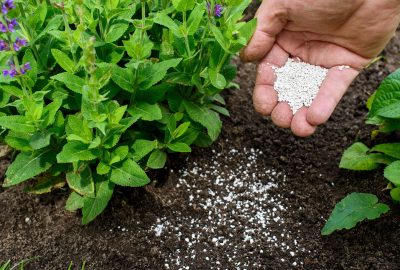 Best Allergy-Free Fertilizers for Urban Gardens Guide & Top Selection