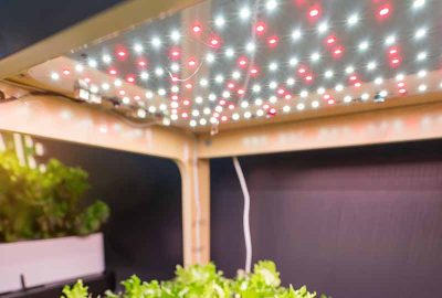 Optimizing Urban Garden Spaces With Indoor Gardening Lighting Kits