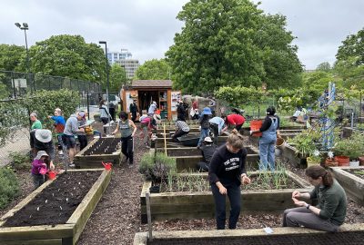 Community Garden Startup Guide, Tips & Setup Checklist