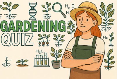 Urban Garden Quiz Guide & Interactive Tips